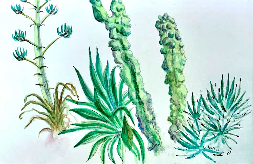 Botanica Study, Watercolor on paper, 5”x 8”, 2020